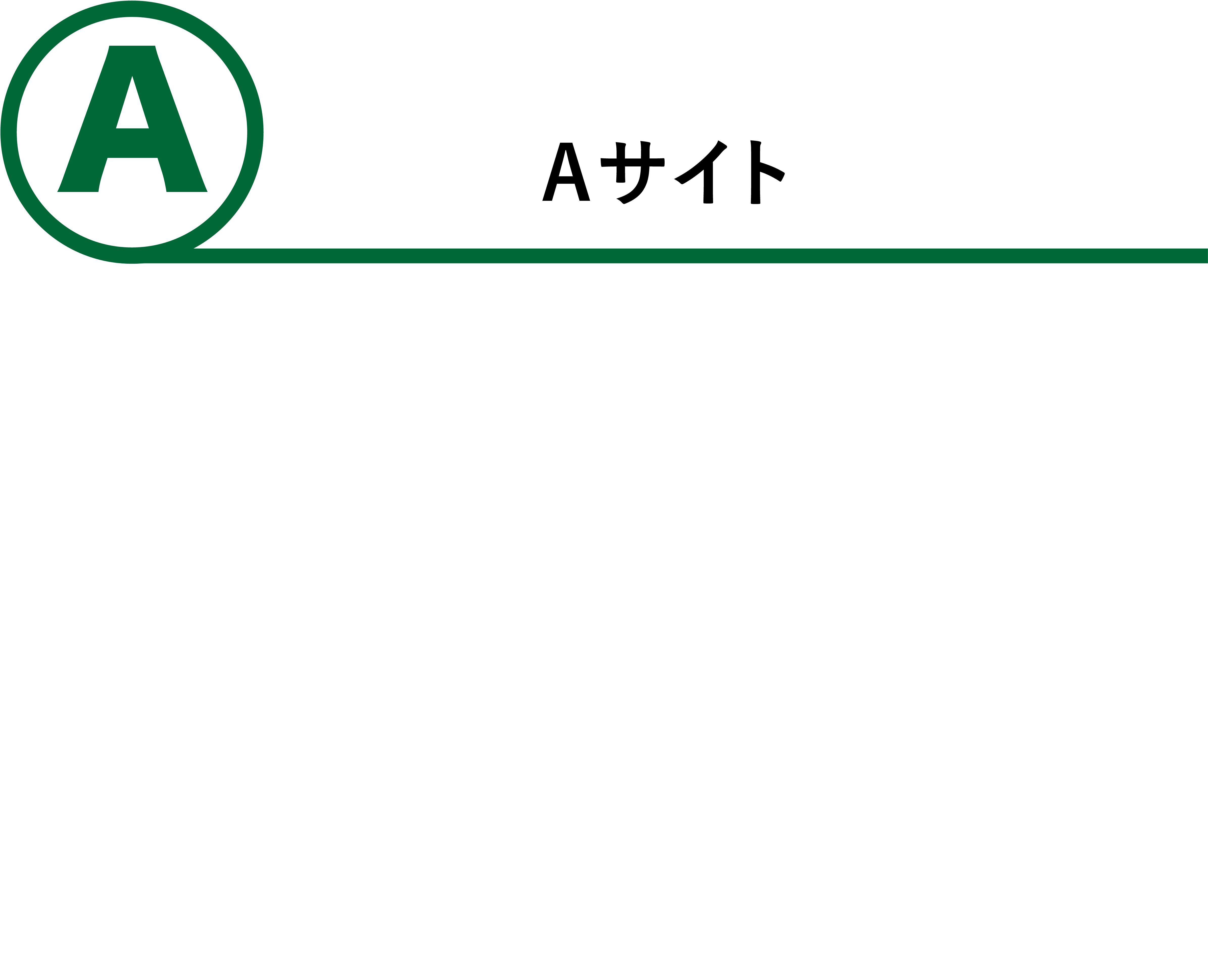 Aサイト