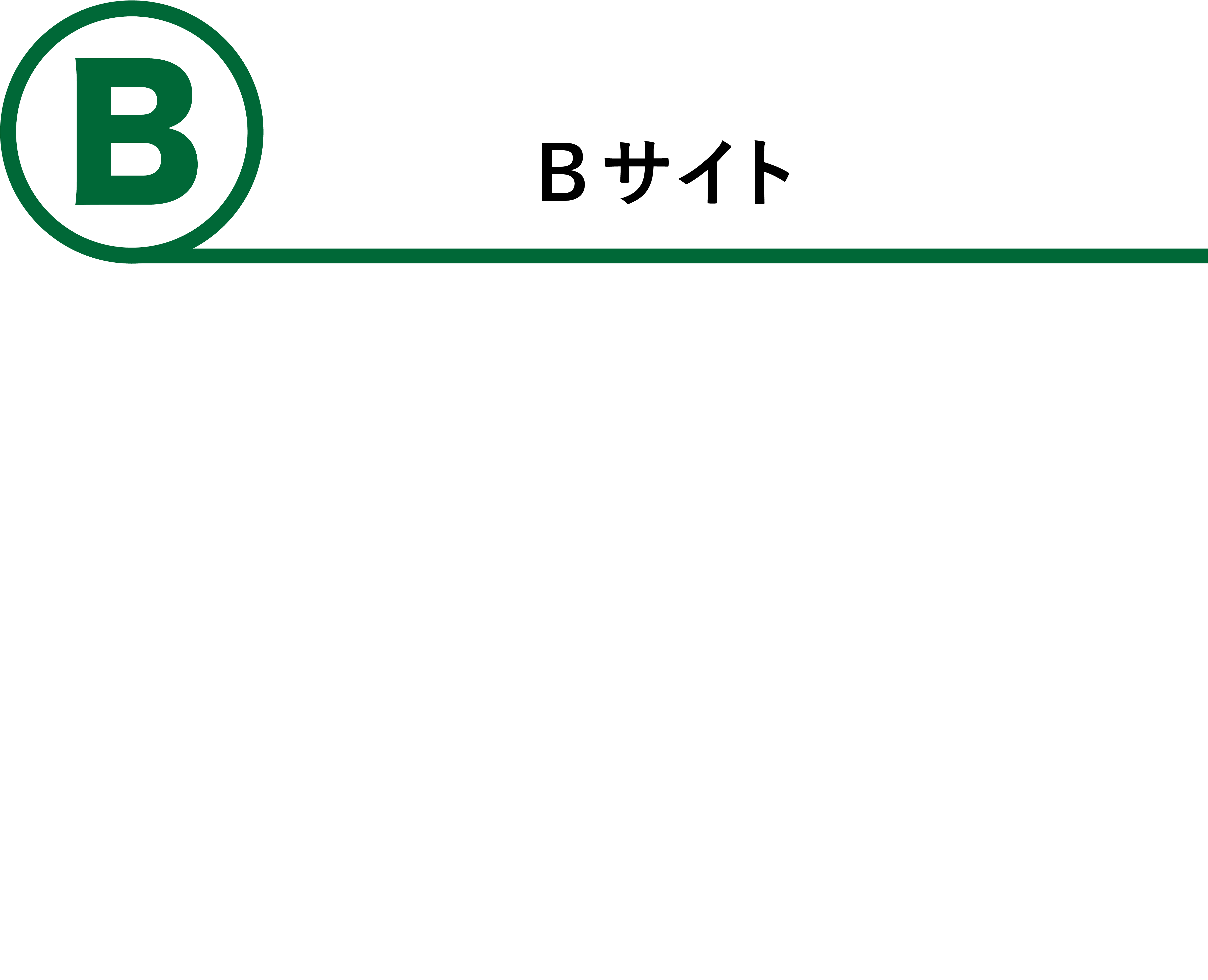 Bサイト