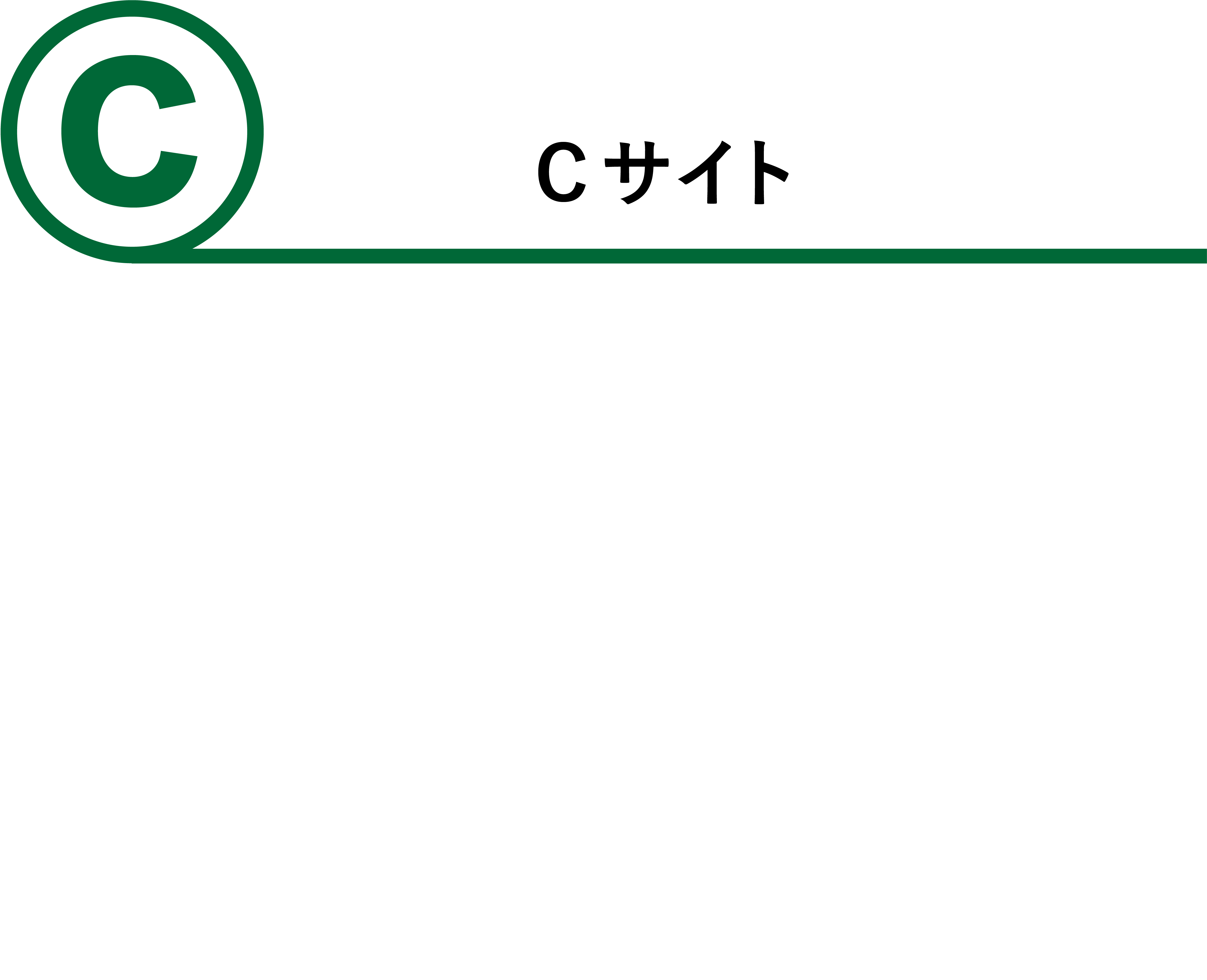 Cサイト